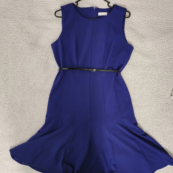 Calvin Klein Beautiful Blue Belted Sleeveless Pleated Dress - Picture 11 of 16